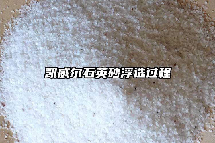生产厂家深夜AV在线播放砂浮选过程